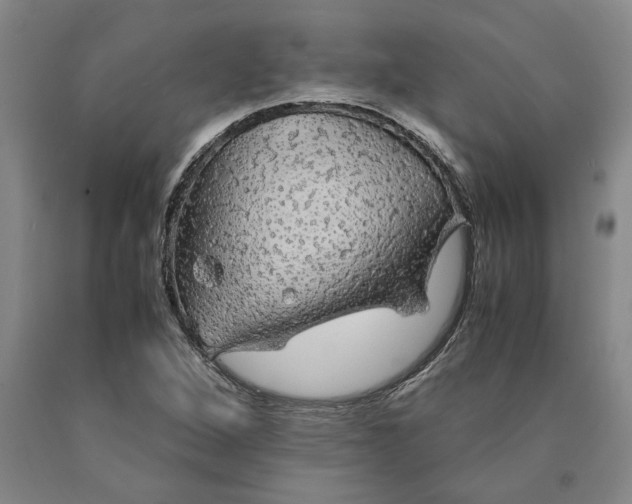 X0000089921264200707271729