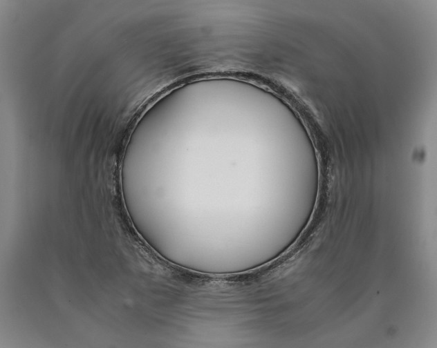 X0000089921265200707271729