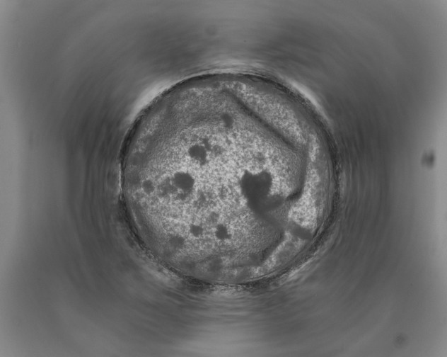 X0000089921267200707271729