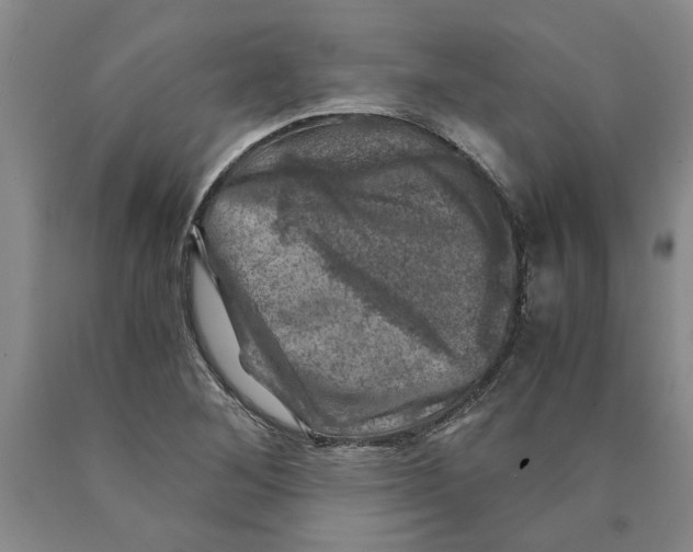 X0000089921268200707271729