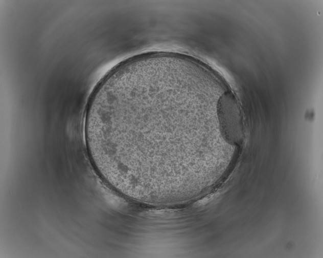 X0000089921272200707271729