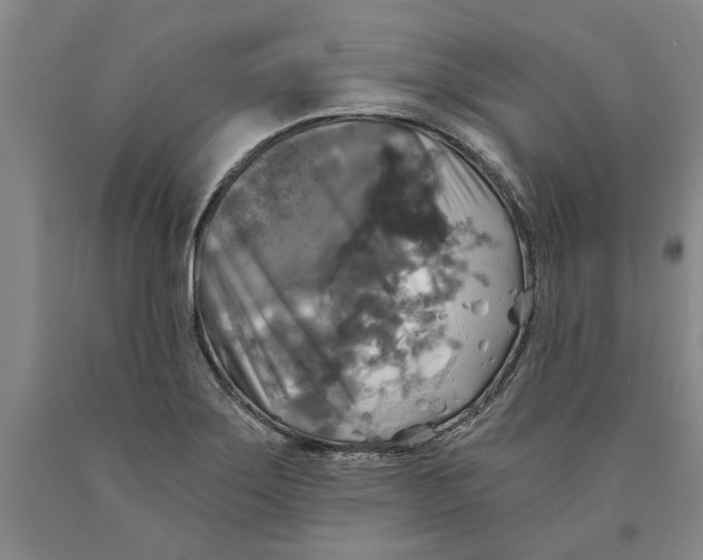 X0000089921275200707271729