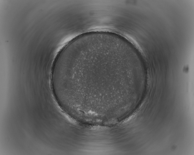 X0000089921277200707271728