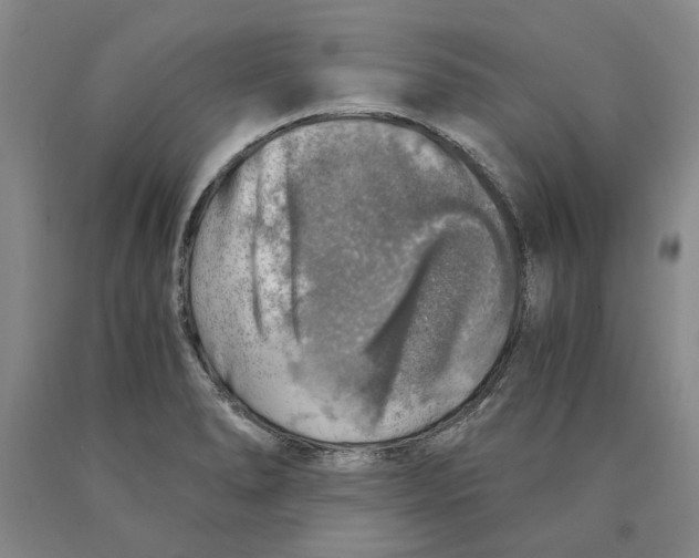 X0000089921278200707271728