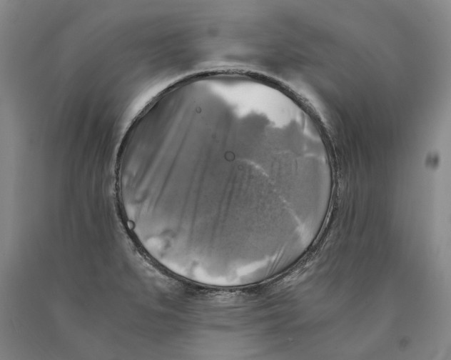 X0000089921279200707271728