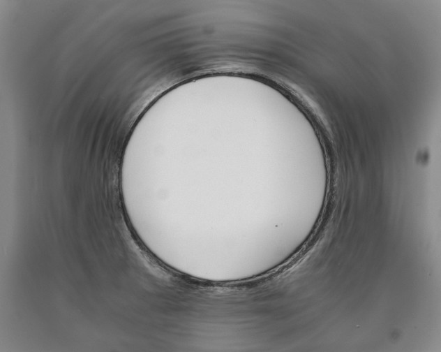 X0000089921281200707271728