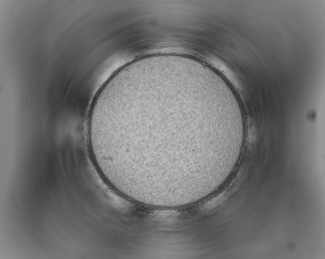 X0000089921282200707271728