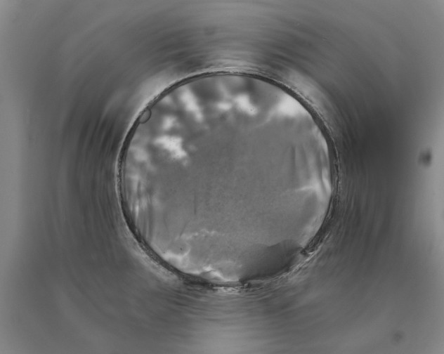 X0000089921283200707271728