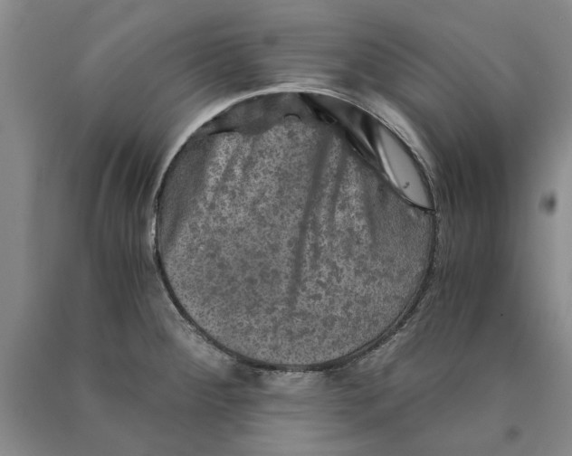 X0000089921284200707271728