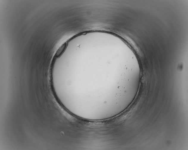 X0000089921285200707271728