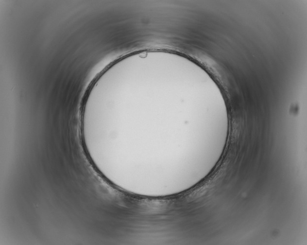 X0000089921286200707271728