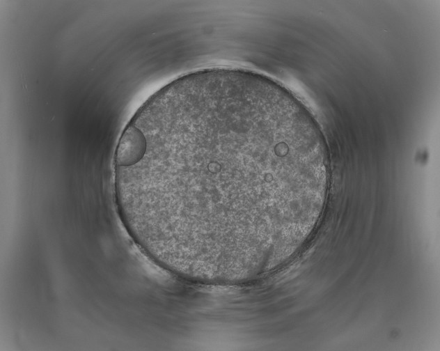 X0000089921287200707271728