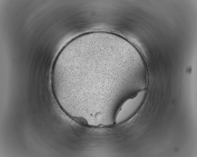 X0000089921288200707271728