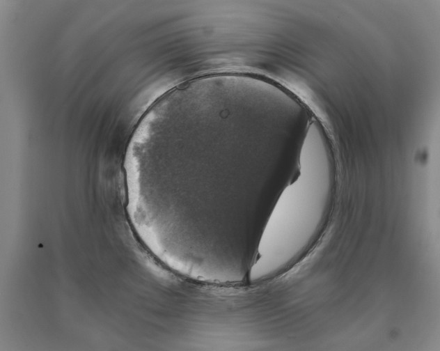 X0000089921289200707271728