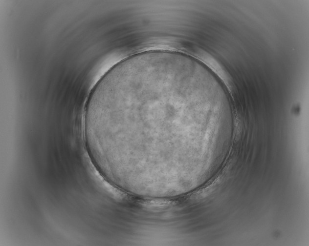 X0000089921290200707271728