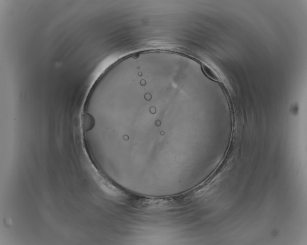 X0000089921291200707271728