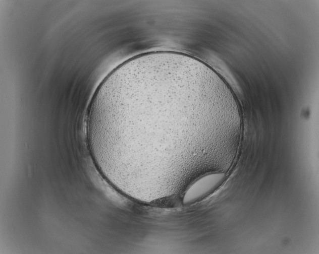 X0000089921292200707271728