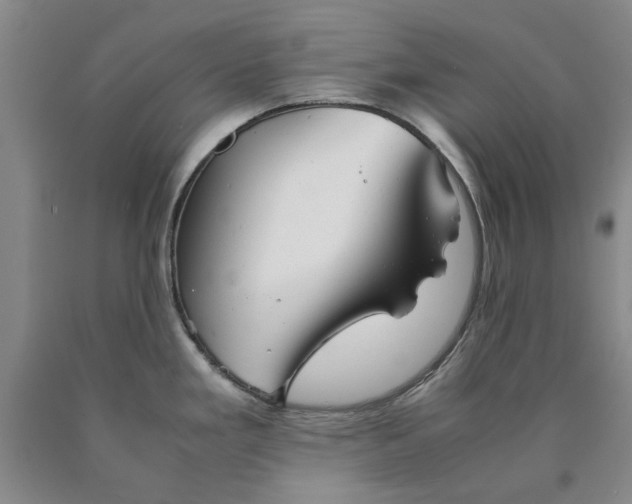 X0000089921293200707271728