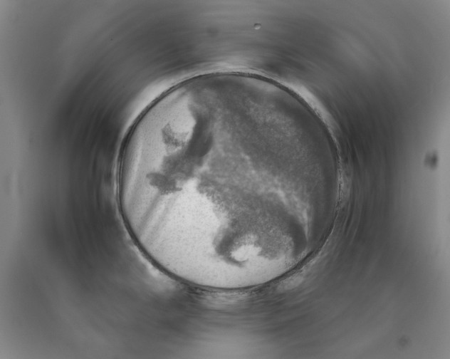 X0000089921294200707271728