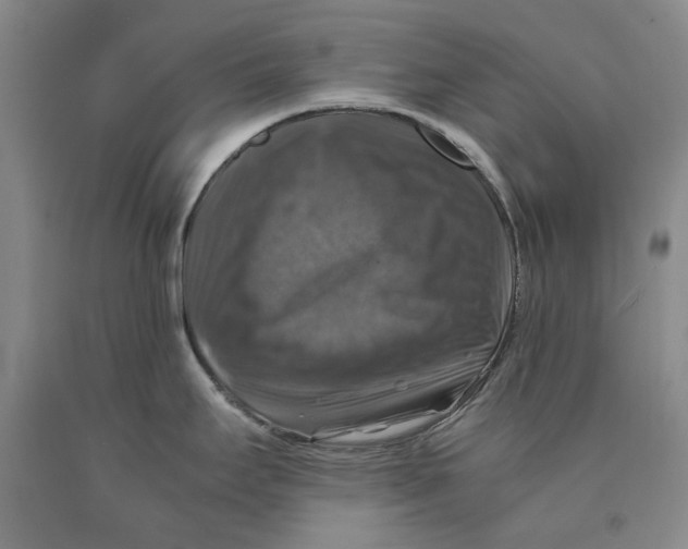 X0000089921295200707271728