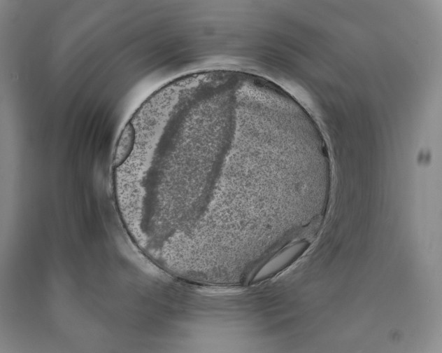 X0000089921296200707271728