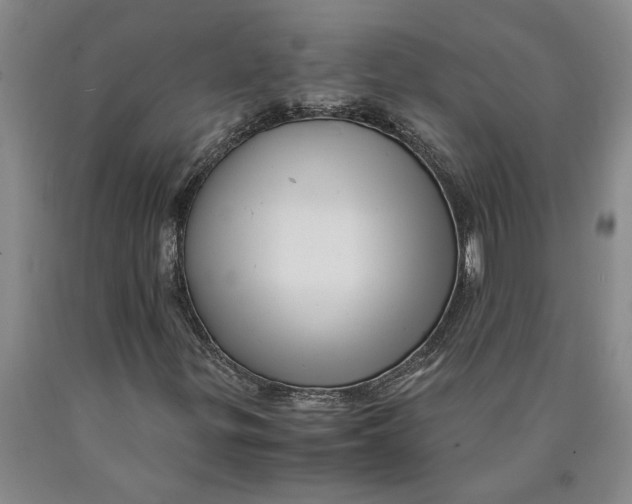 X0000089921299200707271727