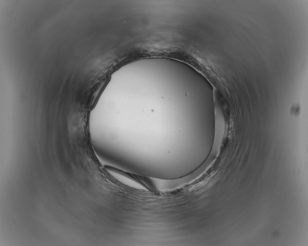 X0000089921300200707271728