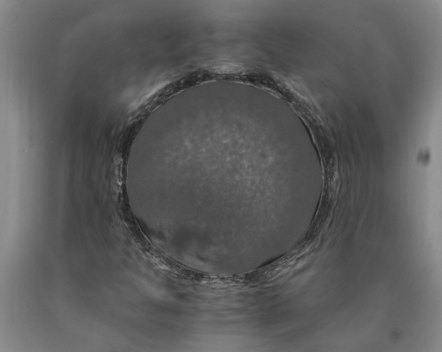 X0000089921301200707271728