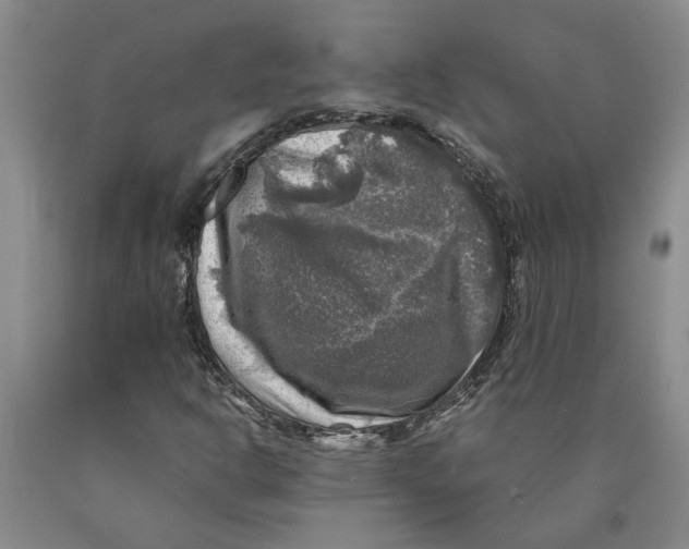 X0000089921302200707271728