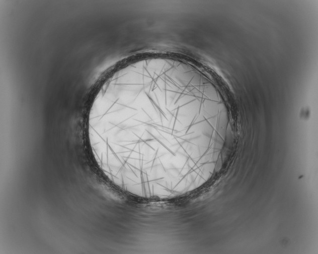 X0000089921304200707271728