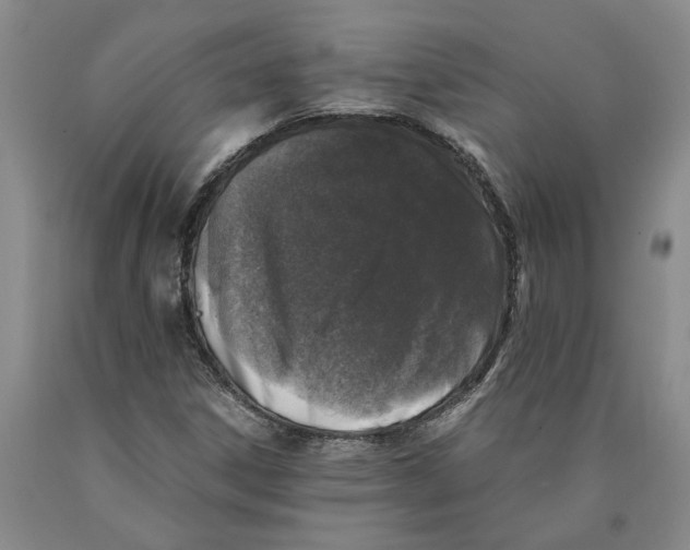 X0000089921306200707271728