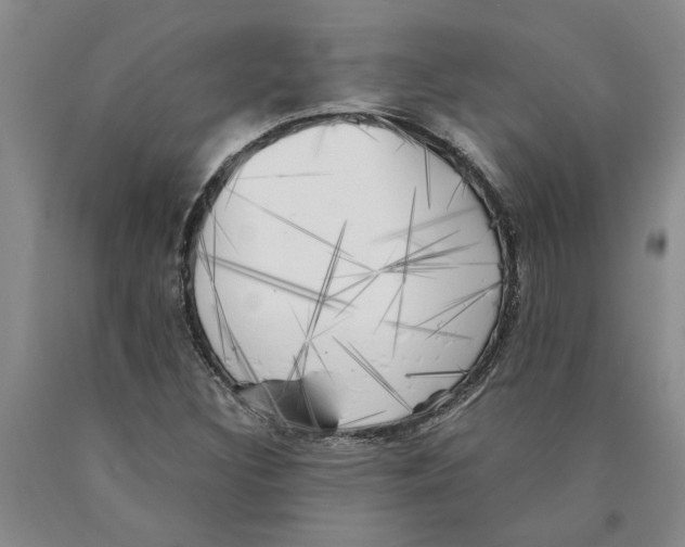 X0000089921308200707271728