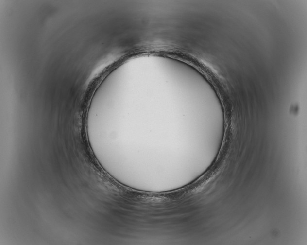 X0000089921309200707271728