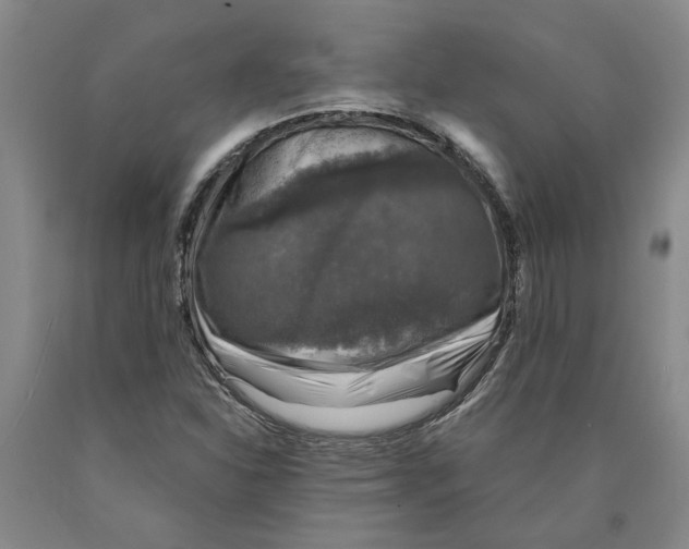 X0000089921310200707271728