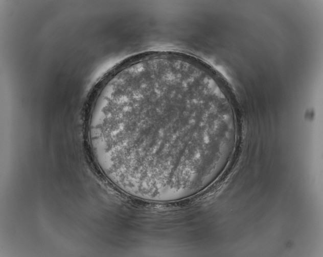 X0000089921311200707271728