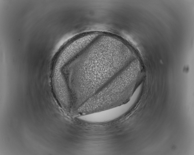 X0000089921312200707271728