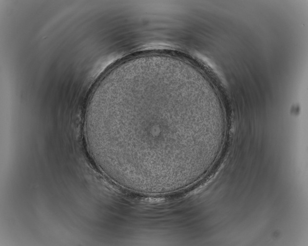 X0000089921313200707271728