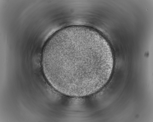 X0000089921314200707271728