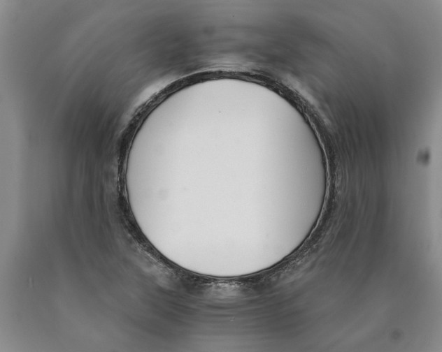 X0000089921315200707271728