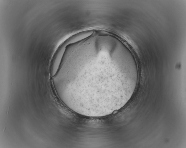 X0000089921316200707271728