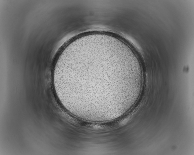 X0000089921318200707271728