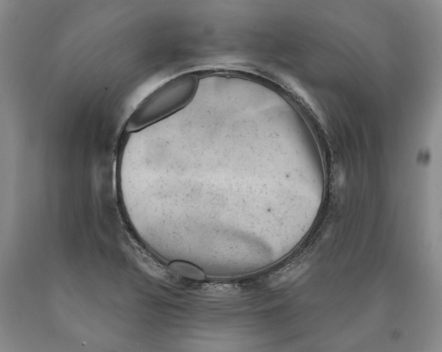 X0000089921320200707271728