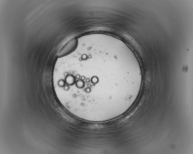 X0000089921321200707271728