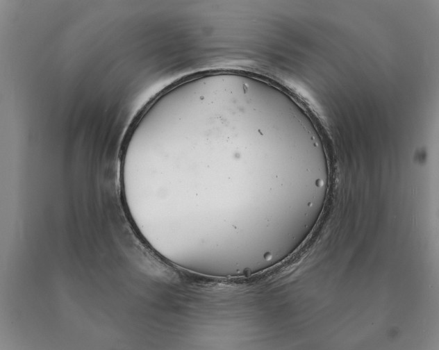 X0000089921324200707271728