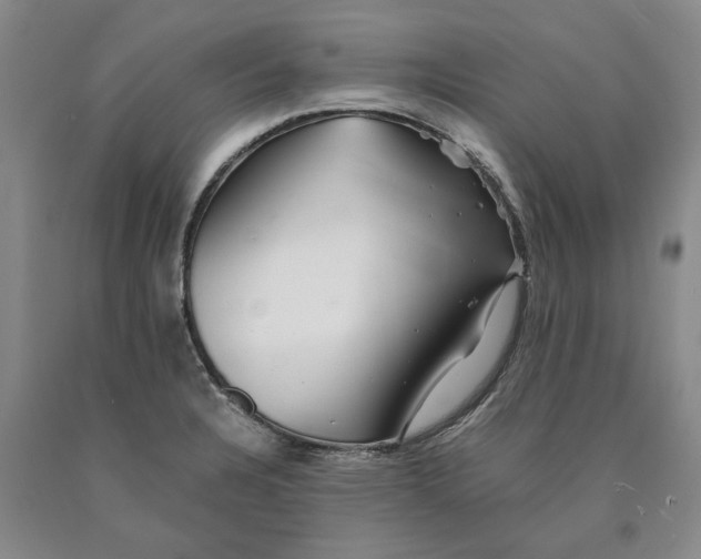 X0000089921328200707271728