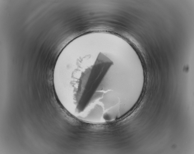 X0000089921329200707271728