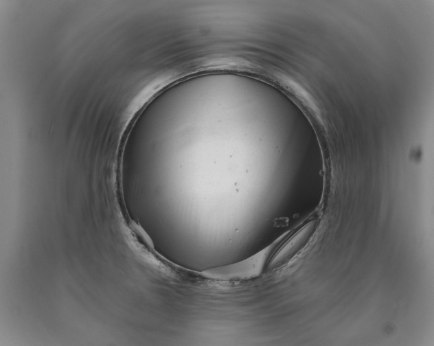 X0000089921330200707271728