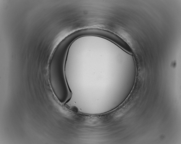 X0000089921332200707271728