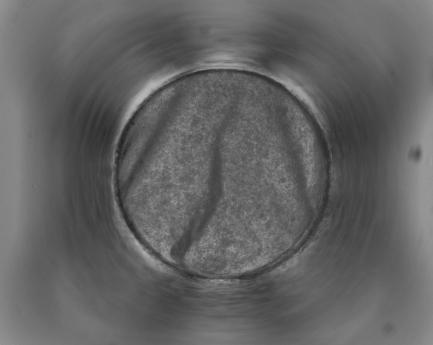 X0000089921333200707271728