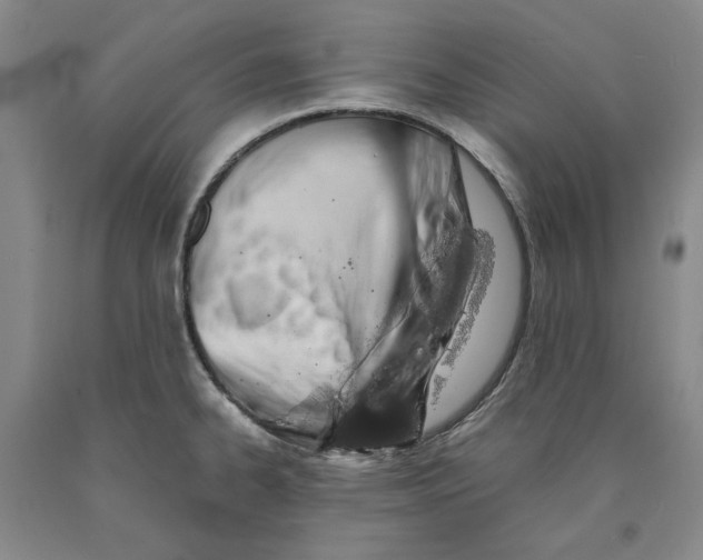 X0000089921334200707271728